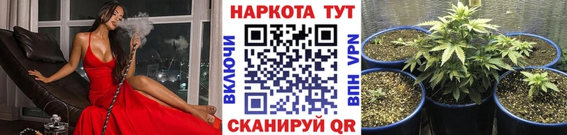Купить закладку Альфа ПВП Меф мяу мяу МАРИХУАНА COCAIN Губаха