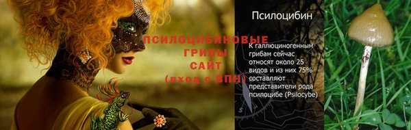 гашик Навашино
