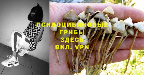 первитин Михайловск