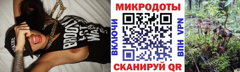 Купить закладки  Губаха  Псилоцибиновые грибы прущие грибы 