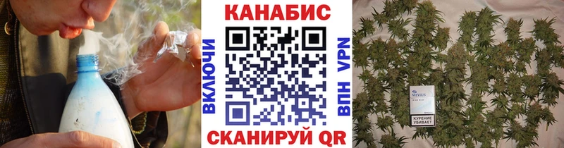 Купить  Губаха  Канабис планчик 